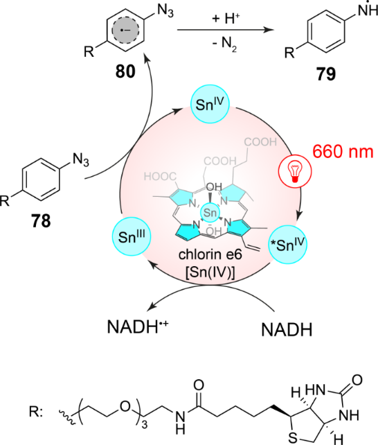 [1860-5397-21-22-i19]