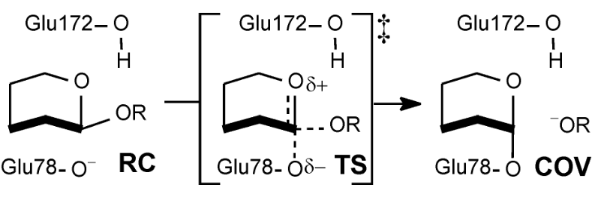 [1860-5397-6-117-i3]